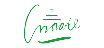 ตงกวน Innate อัจฉริยะเทคโนโลยี Co., Ltd.